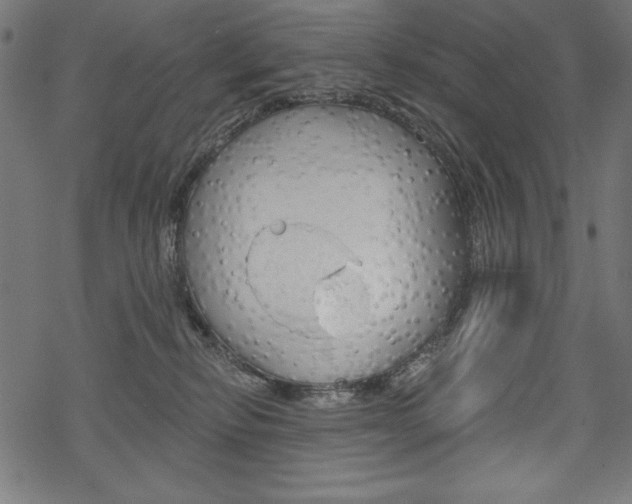 X0000070220278200605261044