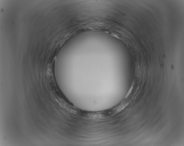 X0000070220284200605261044