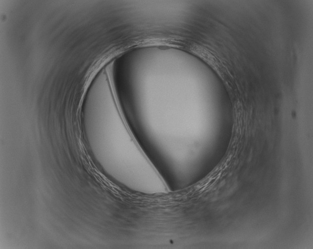 X0000070220289200605261044