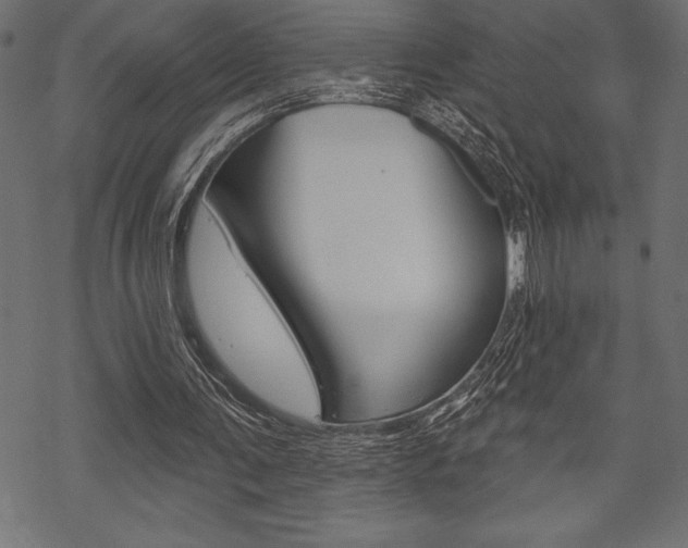 X0000070220291200605261044