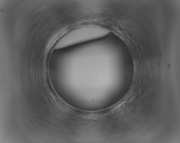 X0000070220293200605261043
