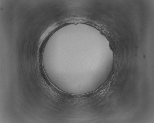 X0000070220296200605261043