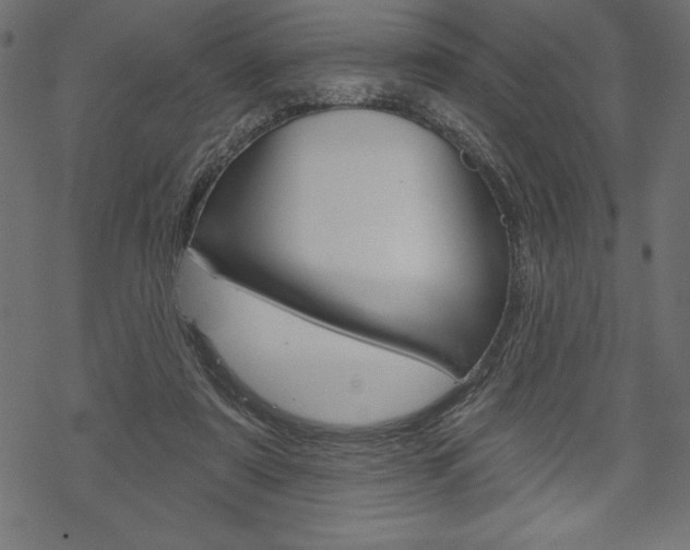 X0000070220307200605261043