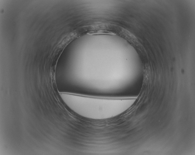 X0000070220333200605261043