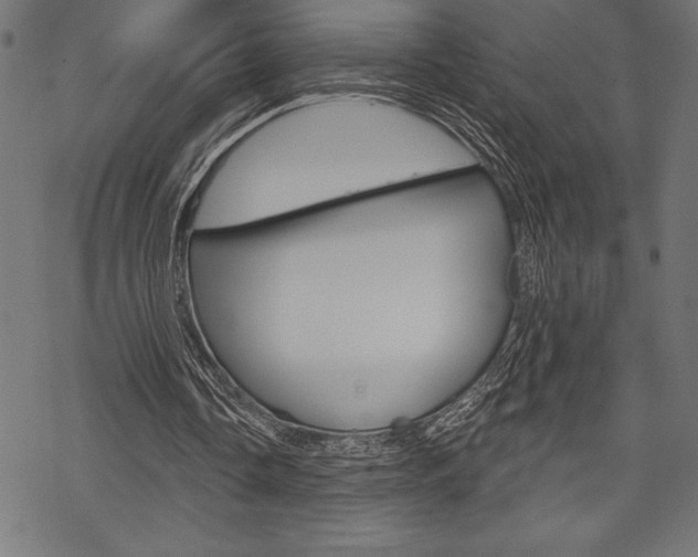 X0000070220338200605261042