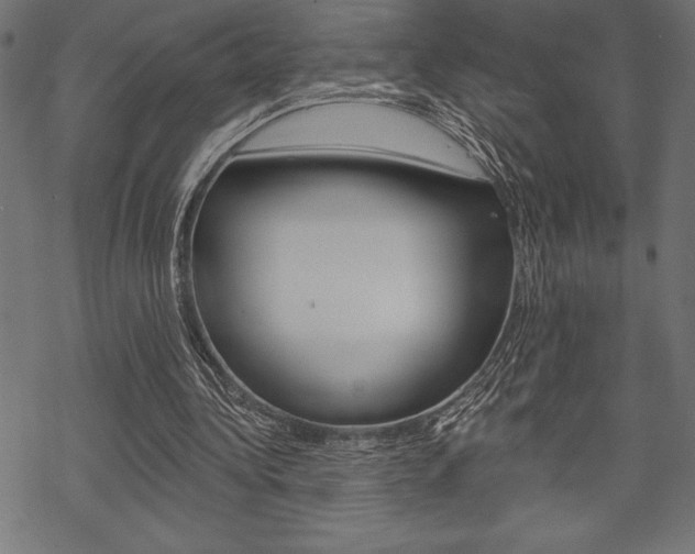 X0000070220340200605261042