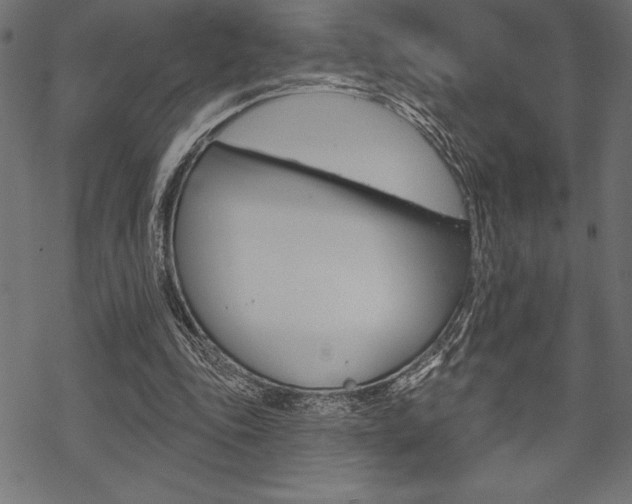 X0000070220343200605261042
