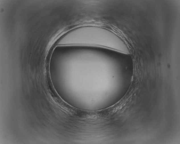 X0000070220344200605261042