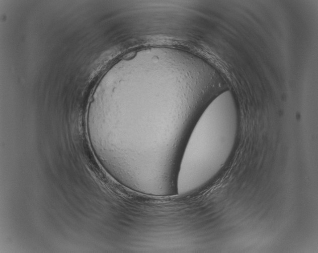 X0000070220347200605261042