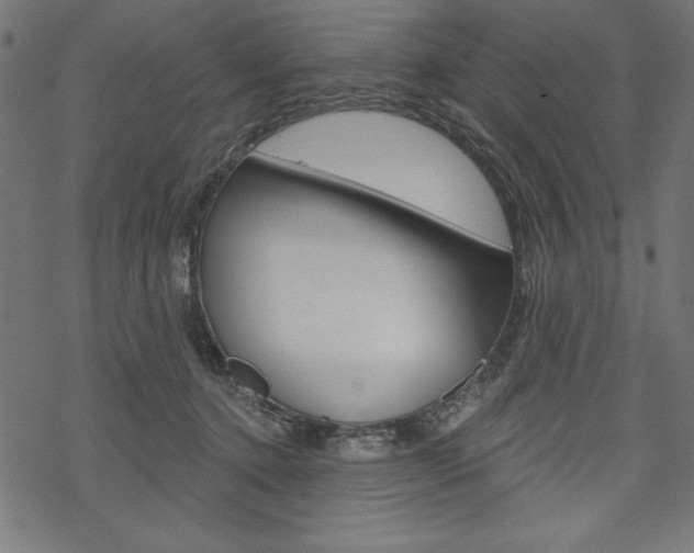 X0000070220368200605261043
