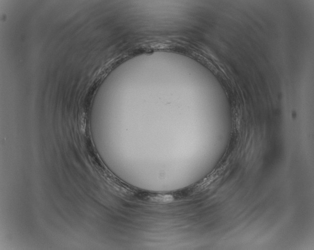 X0000070220374200605261043