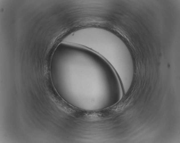 X0000070220407200605261042