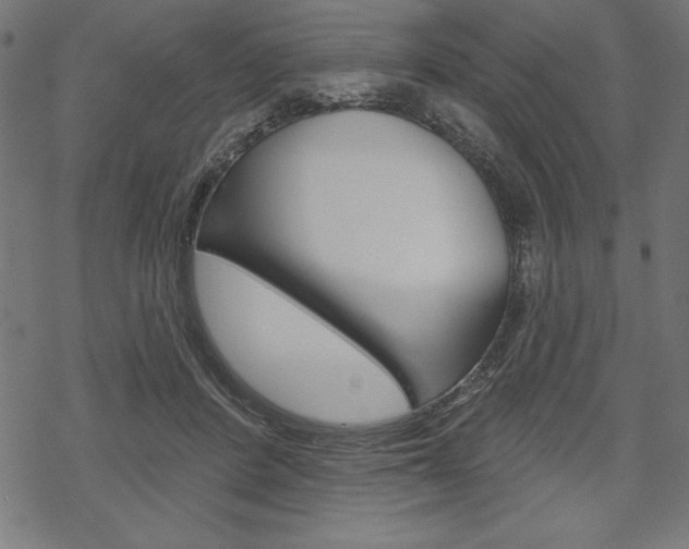X0000070220408200605261042