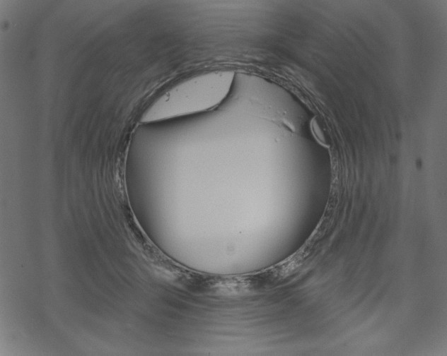 X0000070220415200605261042
