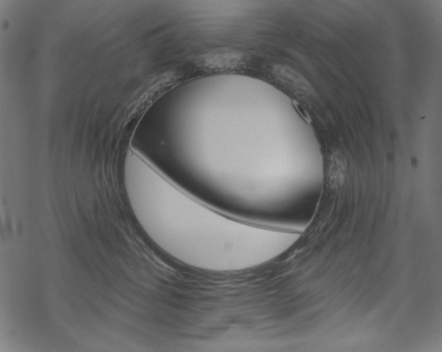 X0000070220428200605261041
