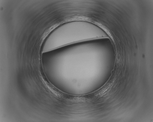 X0000070220437200605261041