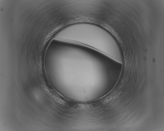 X0000070220442200605261041