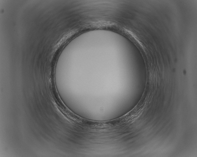 X0000070220443200605261041