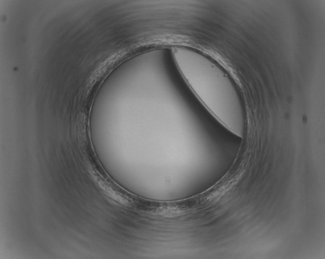 X0000070220445200605261041