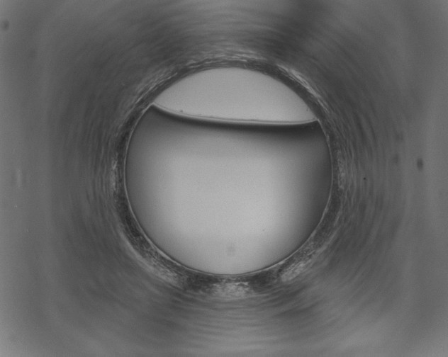 X0000070220451200605261041