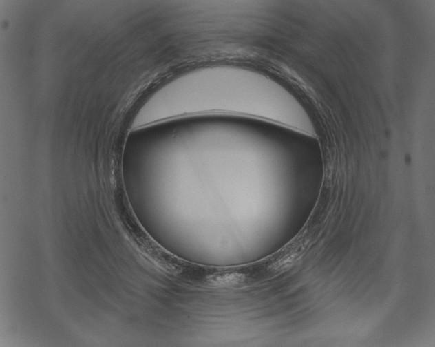 X0000070220452200605261041