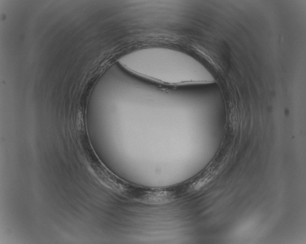 X0000070220459200605261041