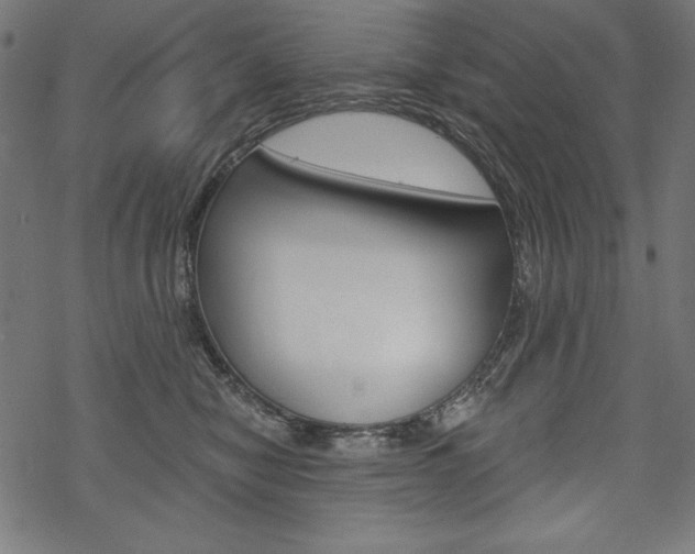 X0000070220470200605261041