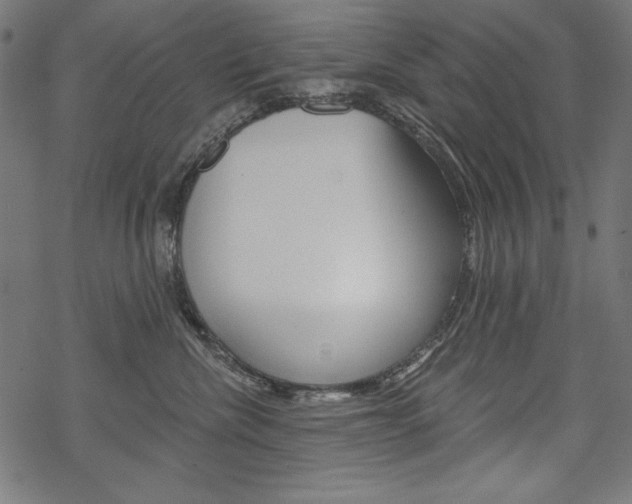 X0000070220476200605261041