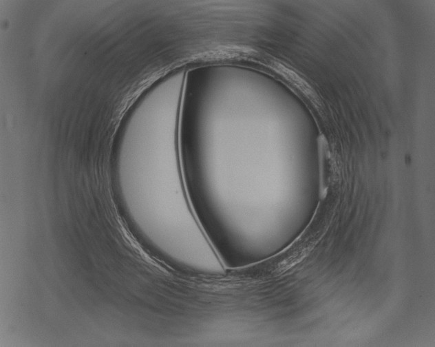 X0000070220485200605261040