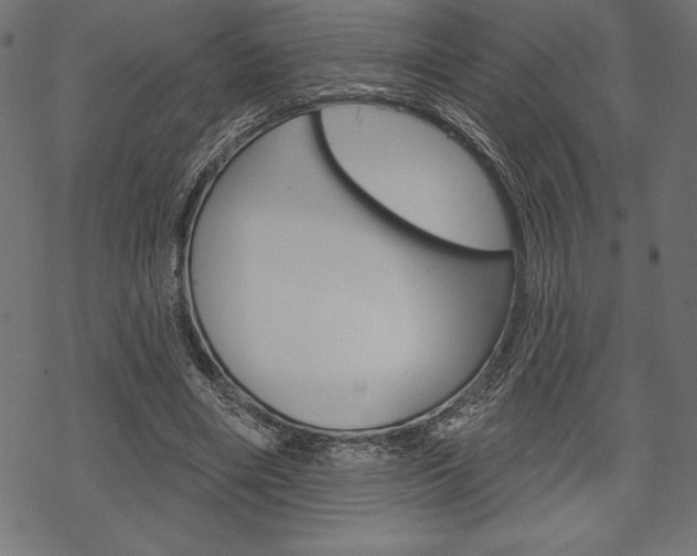 X0000070220490200605261040