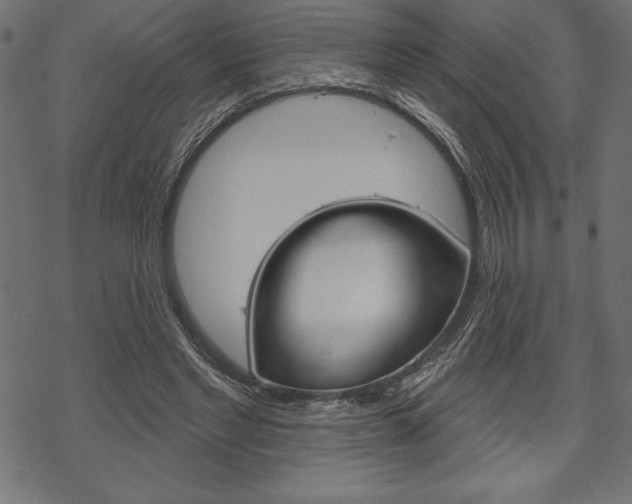 X0000070220493200605261040
