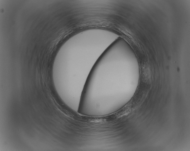 X0000070220499200605261040