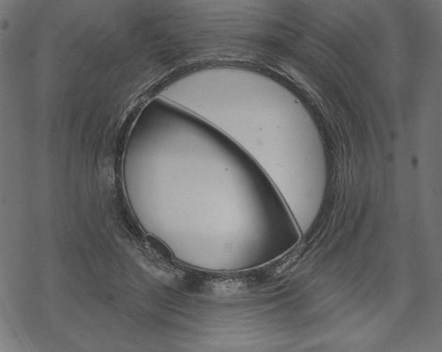 X0000070220500200605261040