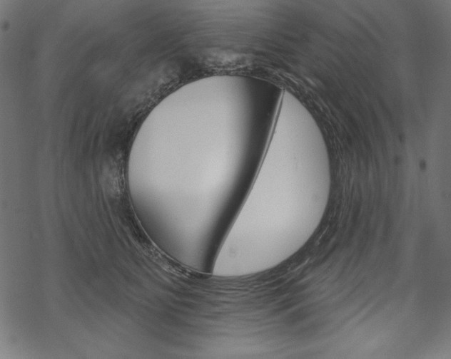 X0000070220515200605261040