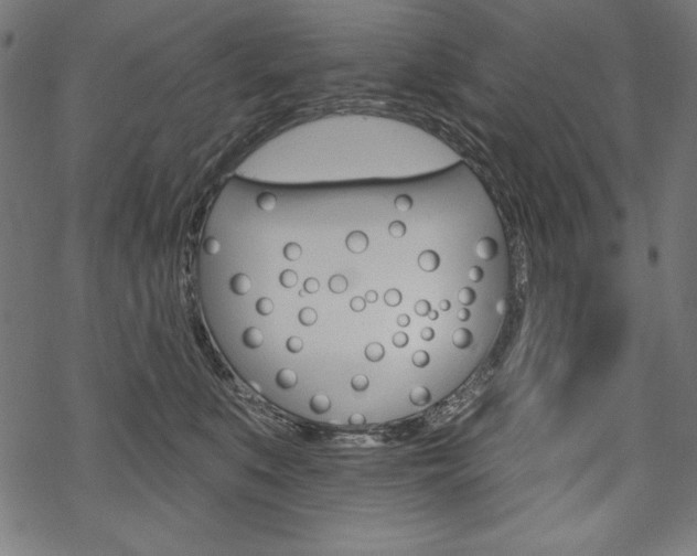 X0000070220519200605261040