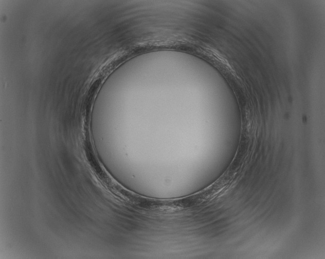 X0000070220542200605261039