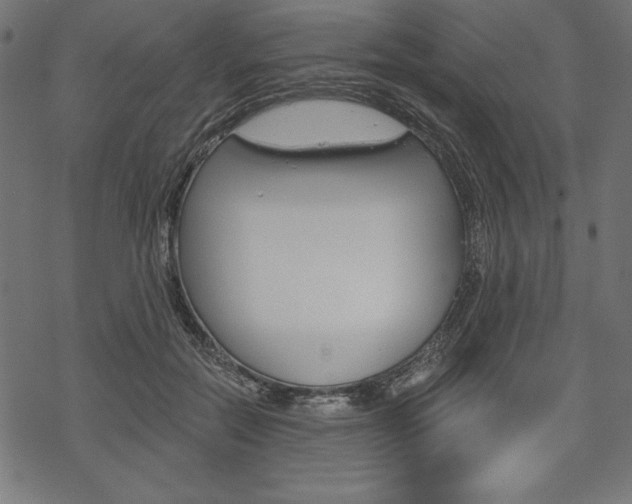 X0000070220554200605261039