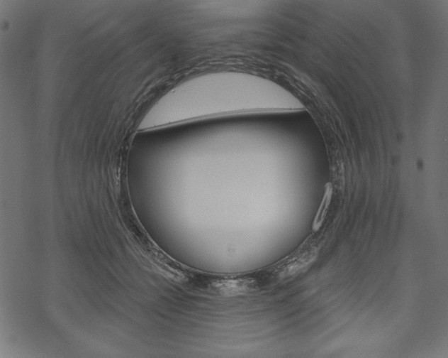 X0000070220558200605261039