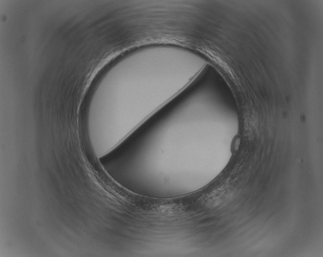 X0000070220584200605261039