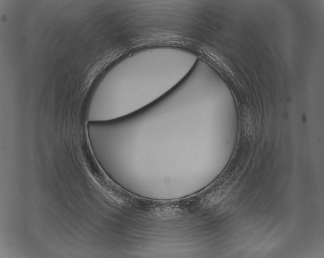 X0000070220586200605261039