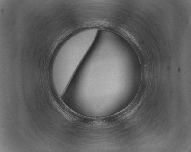 X0000070220589200605261039