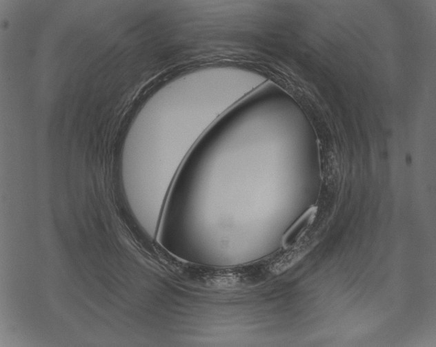X0000070220600200605261039