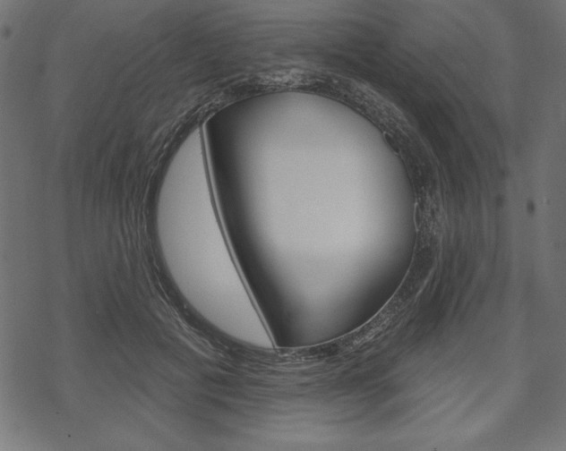 X0000070220601200605261039