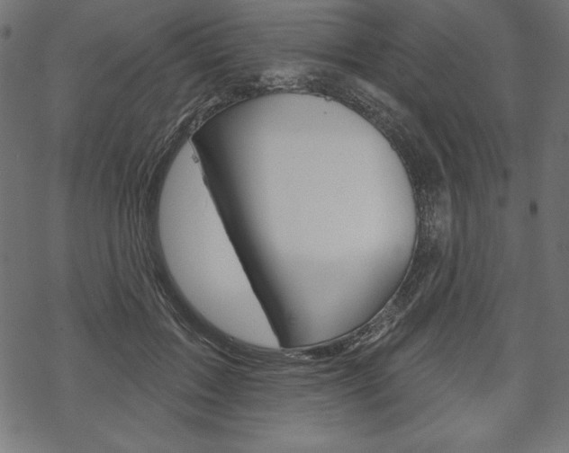 X0000070220603200605261038