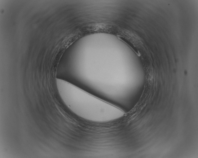 X0000070220607200605261038