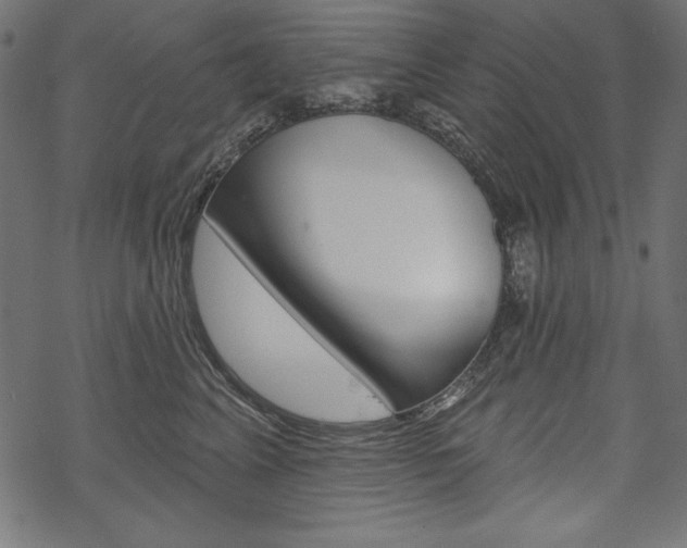 X0000070220617200605261038