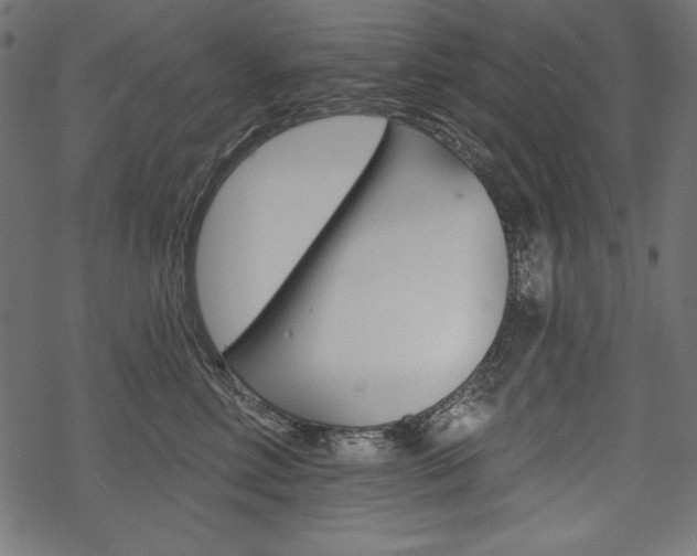 X0000070220618200605261038