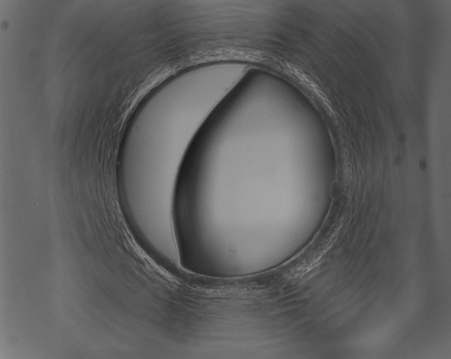X0000070220625200605261037