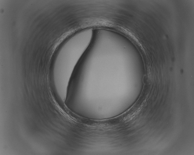 X0000070220629200605261037