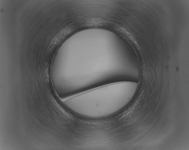 X0000070220633200605261038